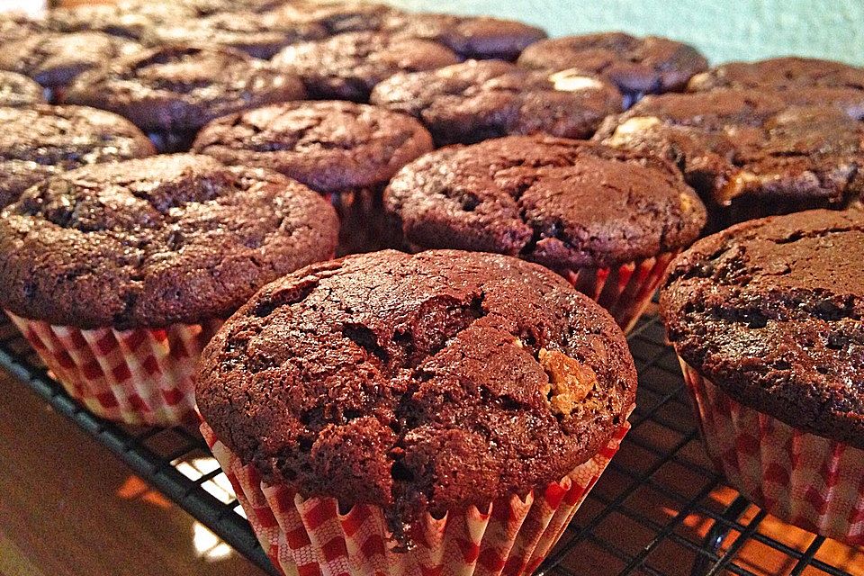 Double Chocolate Muffins