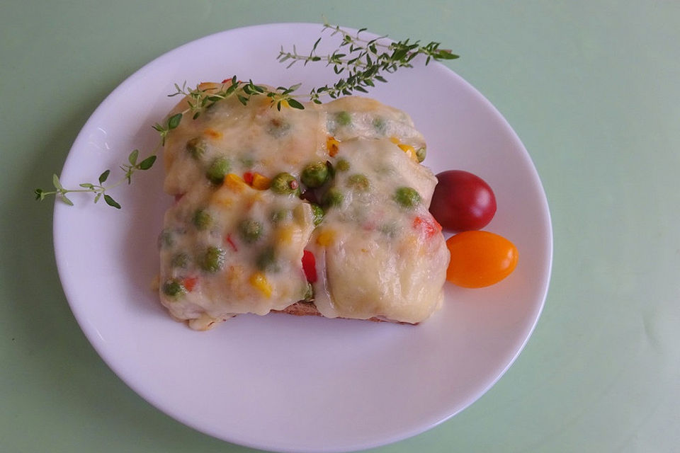 Italienisches Tomaten - Ciabatta