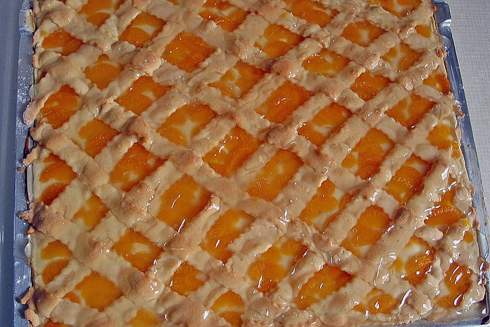 Mandarinenkuchen