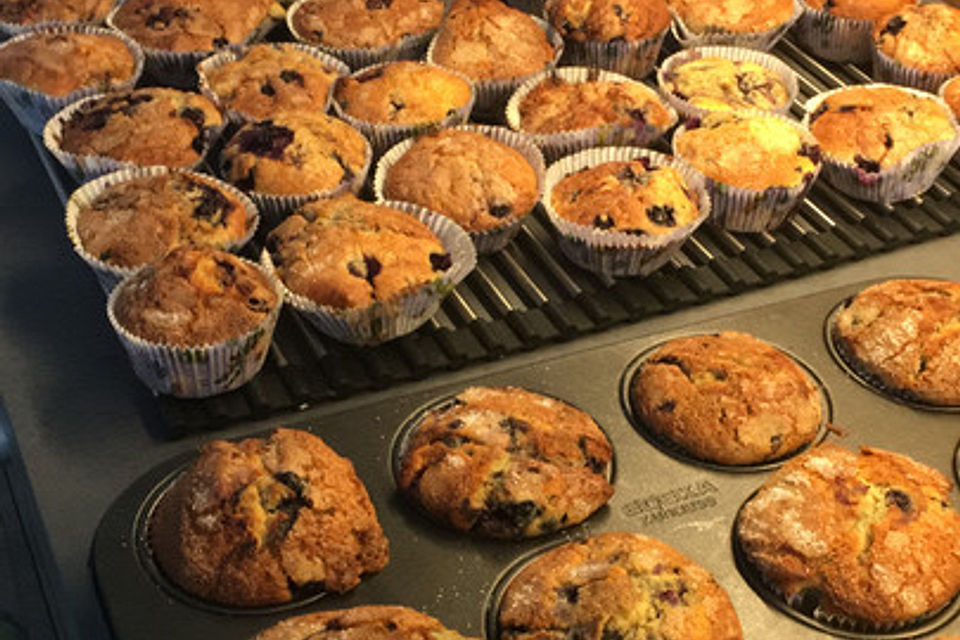 The best blueberry Muffins