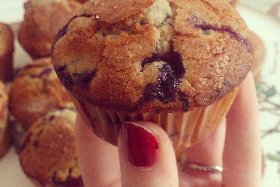 The best blueberry Muffins