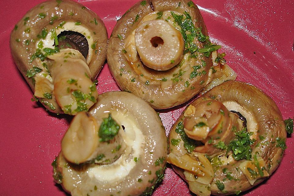 Antipasti - marinierte Champignons