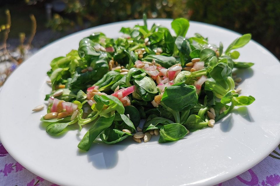 Feldsalat mit Sonnenblumenkernen