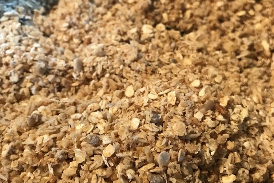 Granola Müsli selbstgebacken