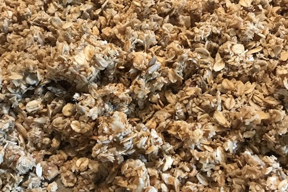 Granola Müsli selbstgebacken