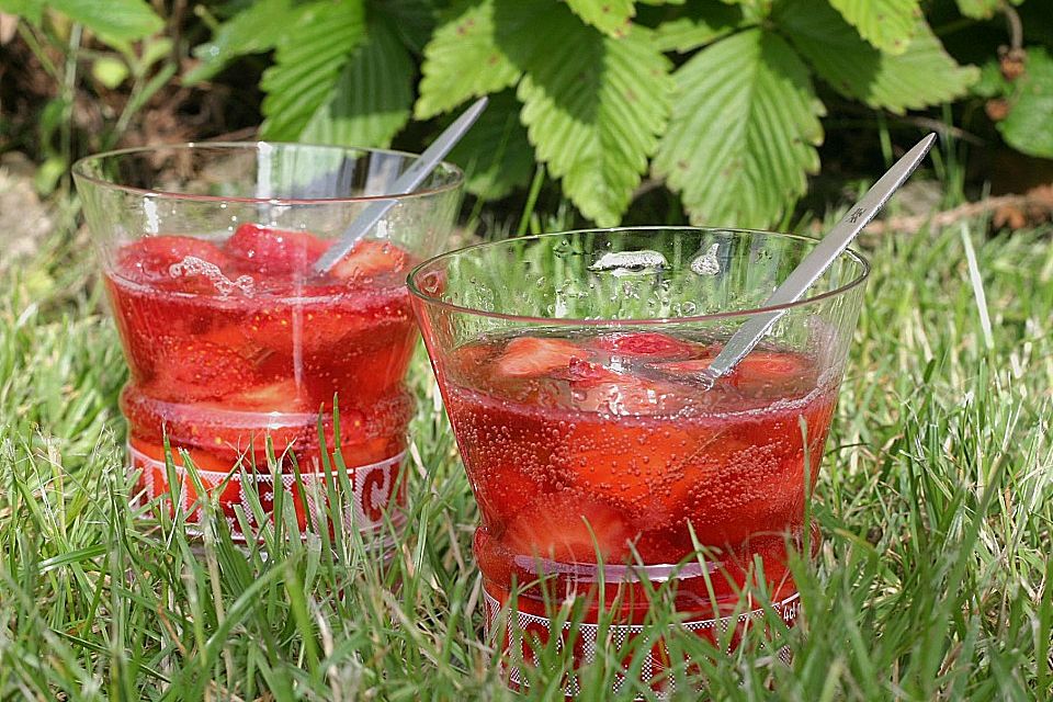 Erdbeer Campari Bowle