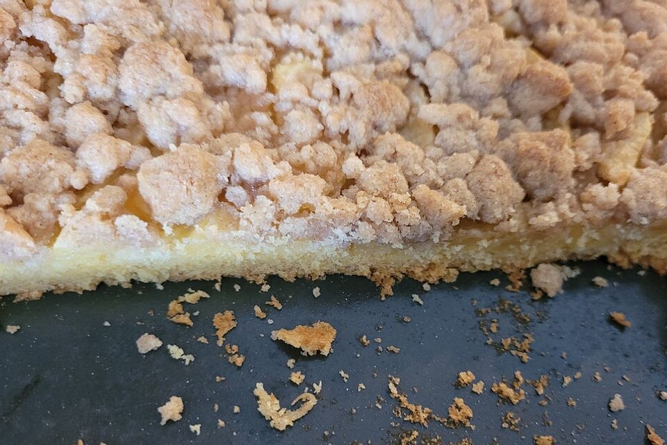 Hildes Zwetschgenkuchen mit Zimtstreuseln