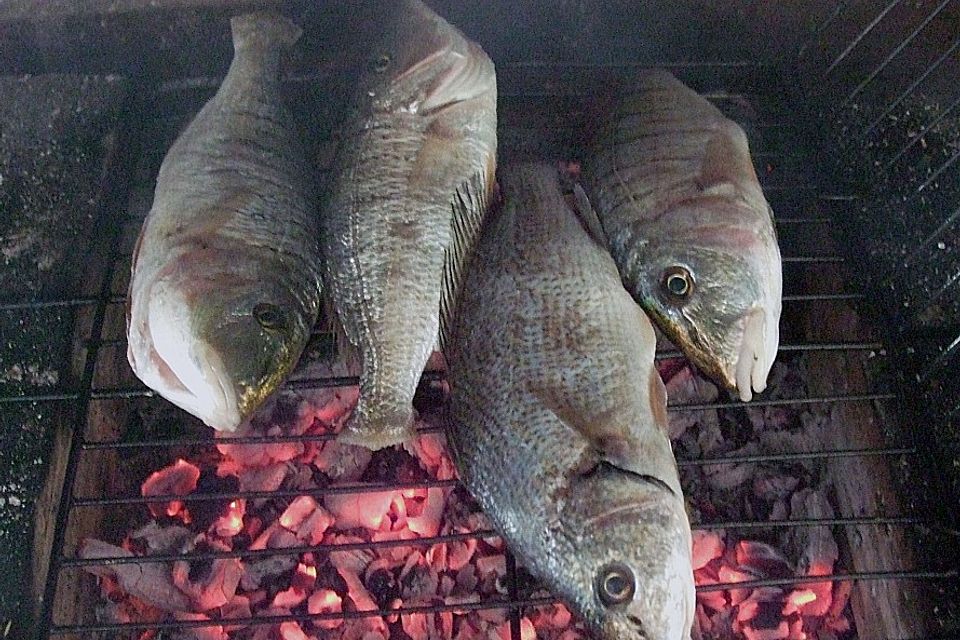 Gegrillte Dorade ganz einfach