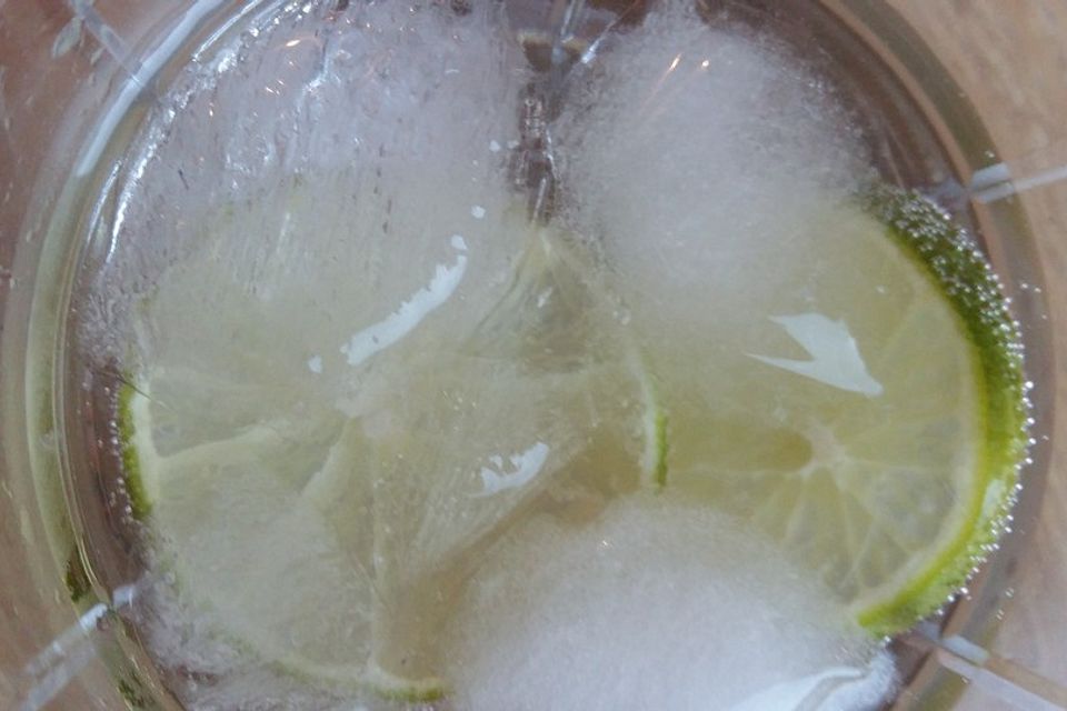 Gin Tonic