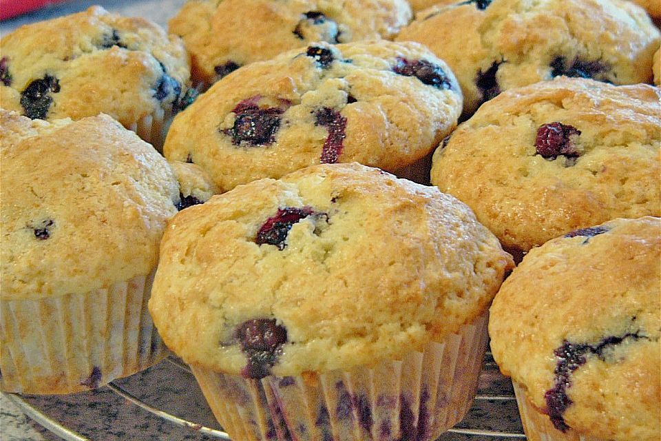 Mile high Blueberry Muffins