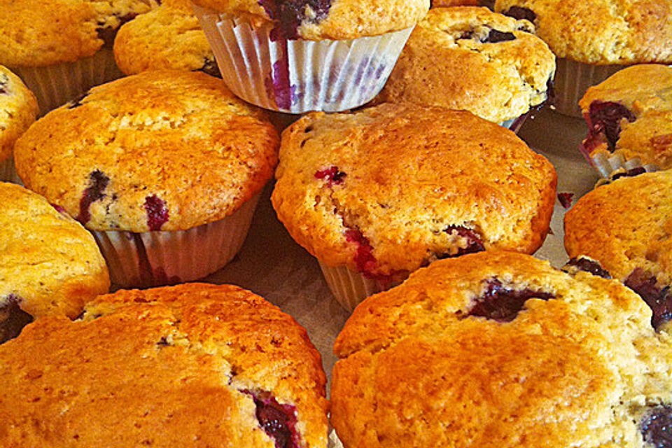 Mile high Blueberry Muffins