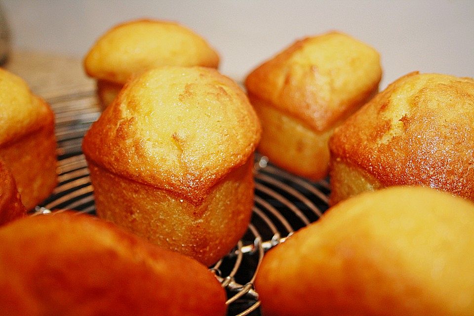 Kokos - Orangensaft - Muffins