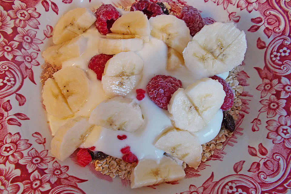 Obst - Joghurt - Müsli