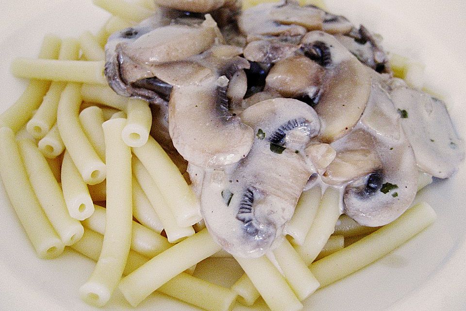 Champignon Art Stroganoff