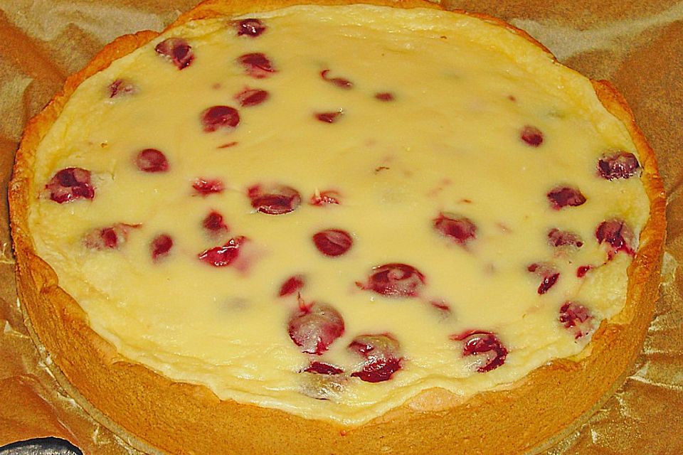 Käse - Kirsch - Kuchen