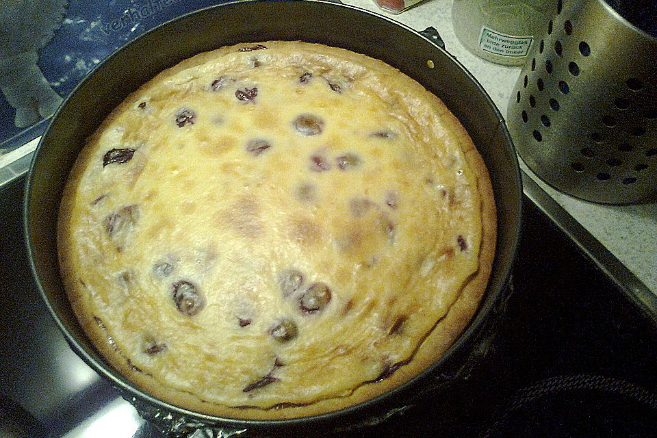 Käse - Kirsch - Kuchen