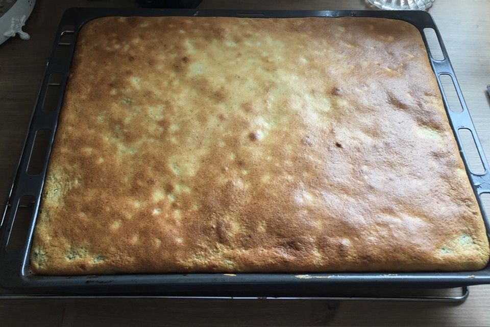 Thüringer Mohnkuchen mit Eierschecke