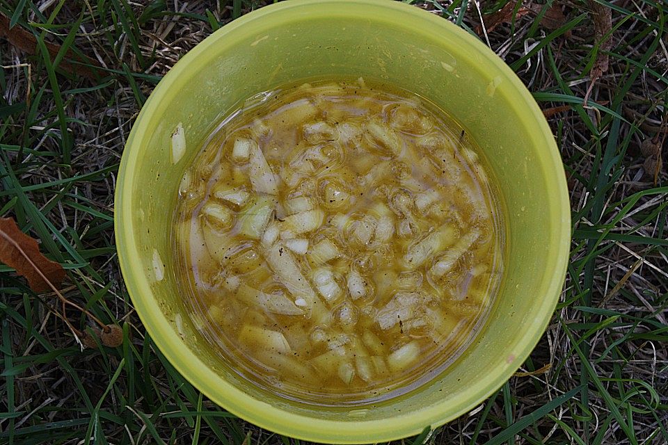 Salat mit gebratenen Champignons