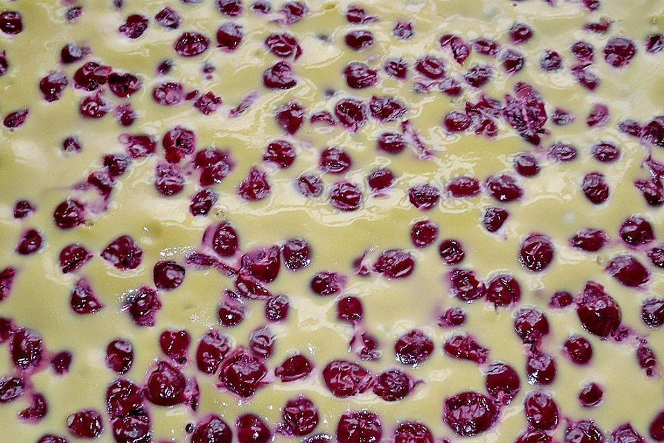 Kirsch - Blech - Kuchen