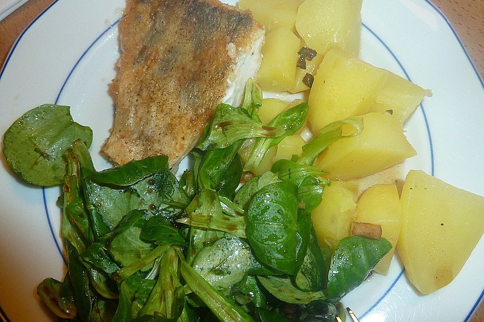 Feldsalat *Sigraen*