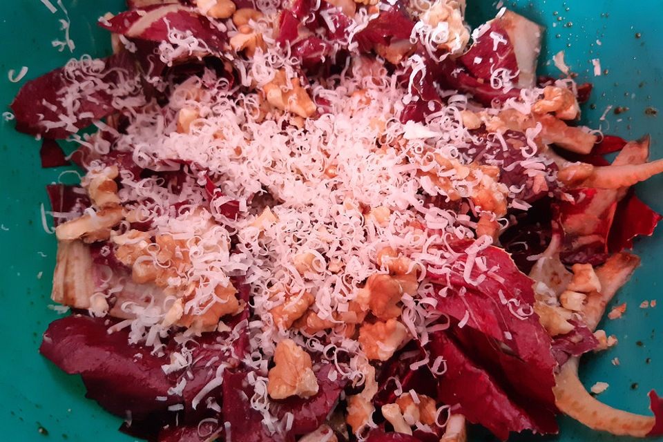 Radicchio-Fenchel-Salat