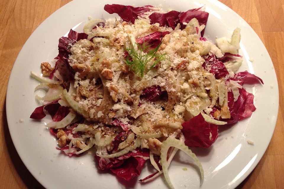 Radicchio-Fenchel-Salat