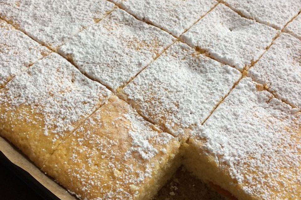 Blechkuchen - mal ganz schnell