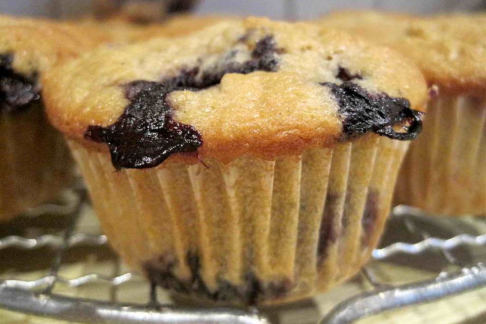 Buttermilch - Blaubeer - Muffins