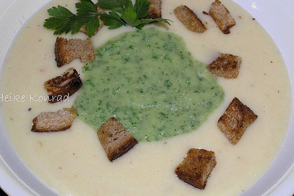 Selleriesuppe grün - weiß