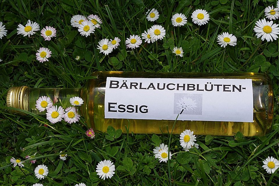 Bärlauchblüten - Essig