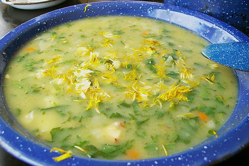 Brennnessel - Kartoffel - Suppe