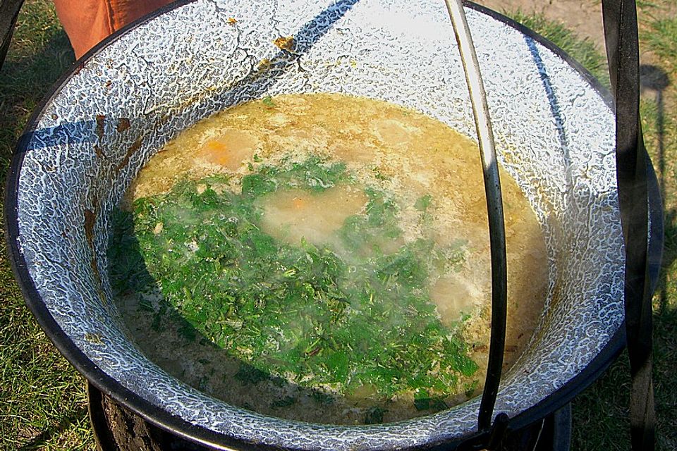 Brennnessel - Kartoffel - Suppe