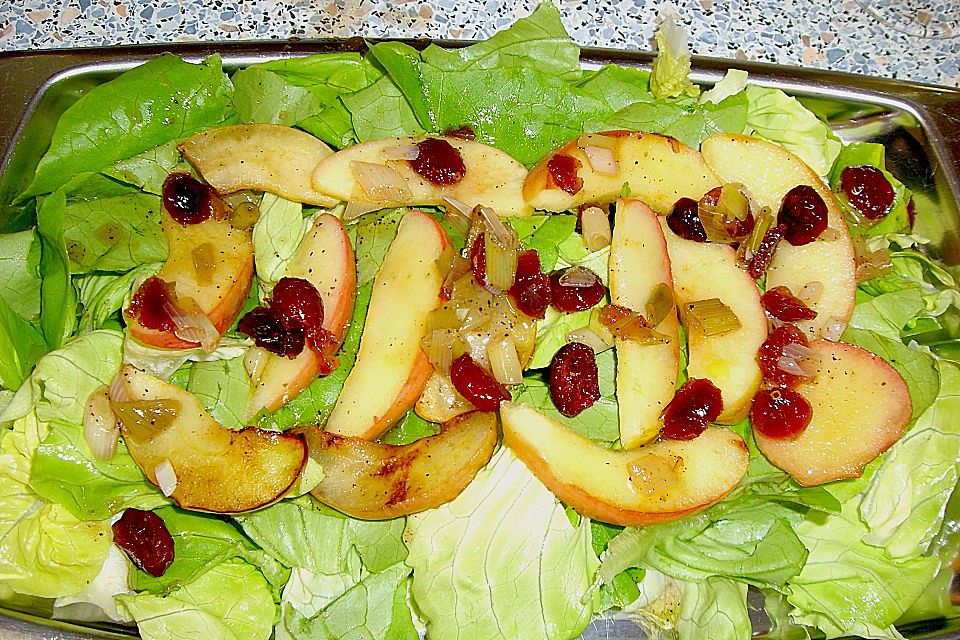 Apfelsalat mit Cranberries