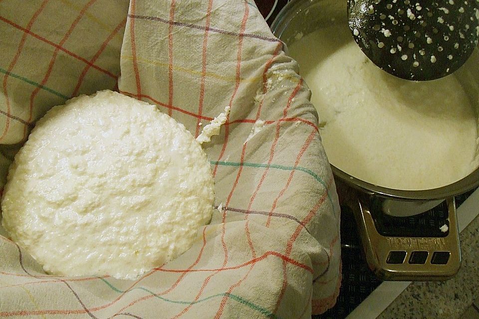 Ricotta