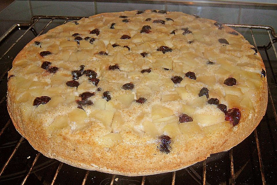 Apfelkuchen mit Cranberries