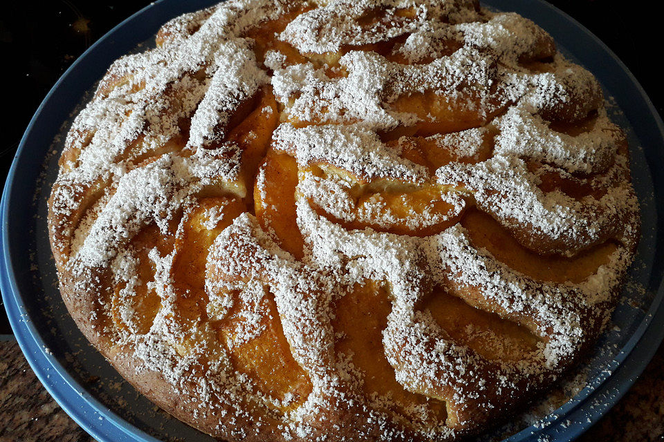 Aprikosenkuchen - der einfachste überhaupt!