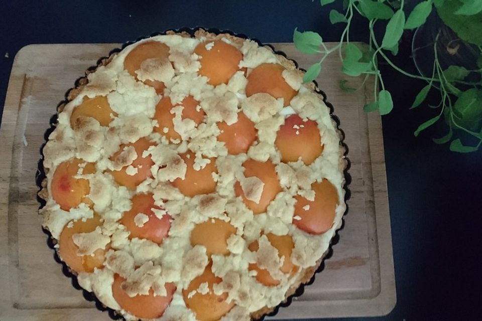 Tarte aux Abricots