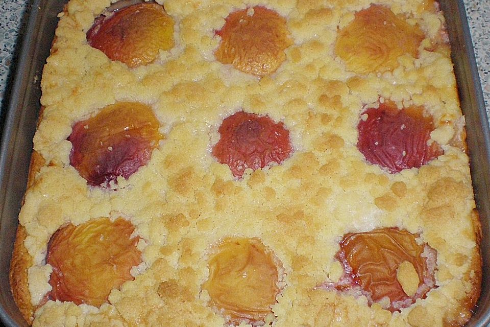 Tarte aux Abricots