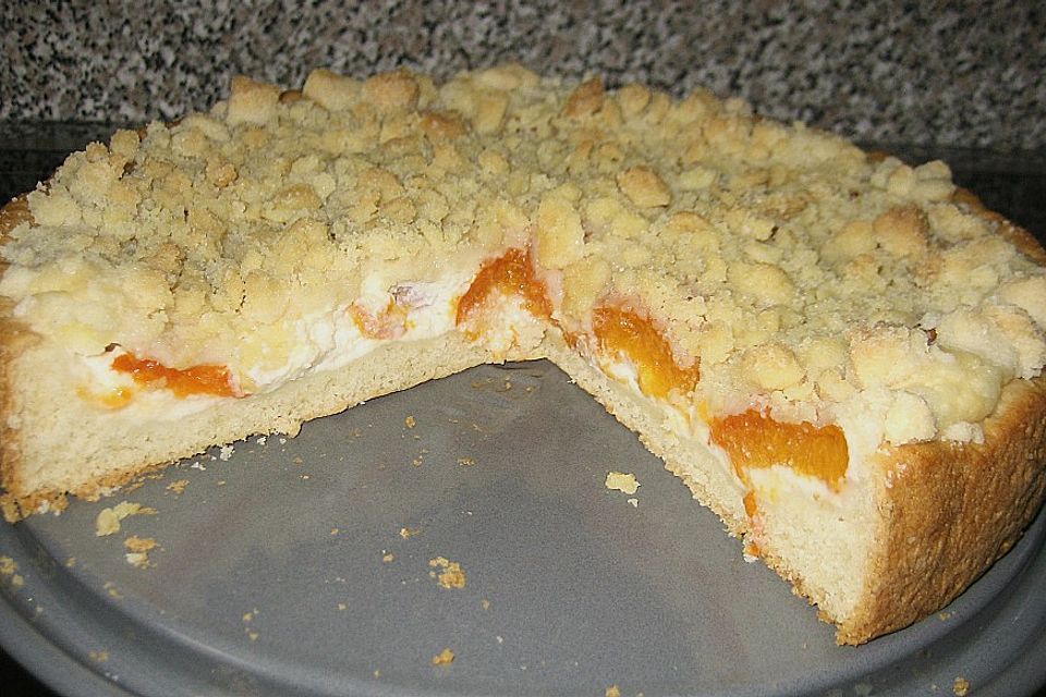 Tarte aux Abricots