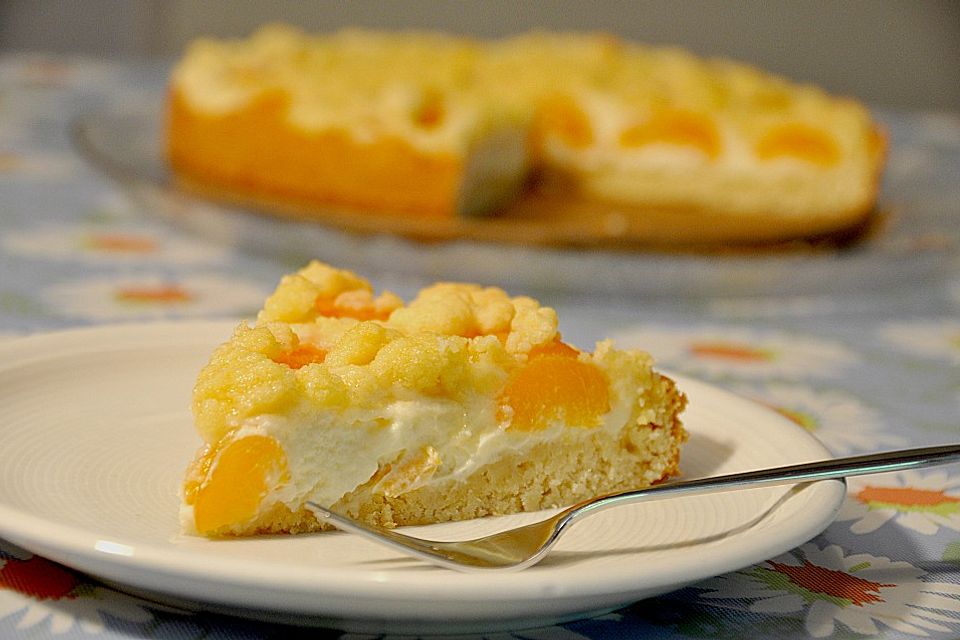 Tarte aux Abricots