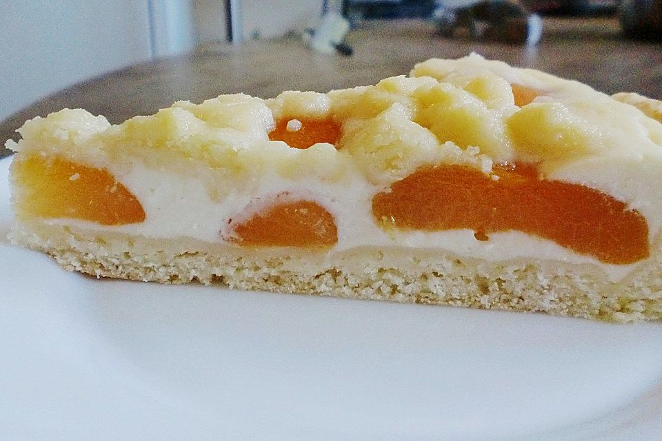 Tarte aux Abricots