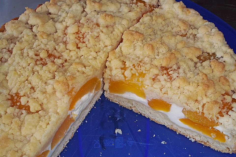 Tarte aux Abricots