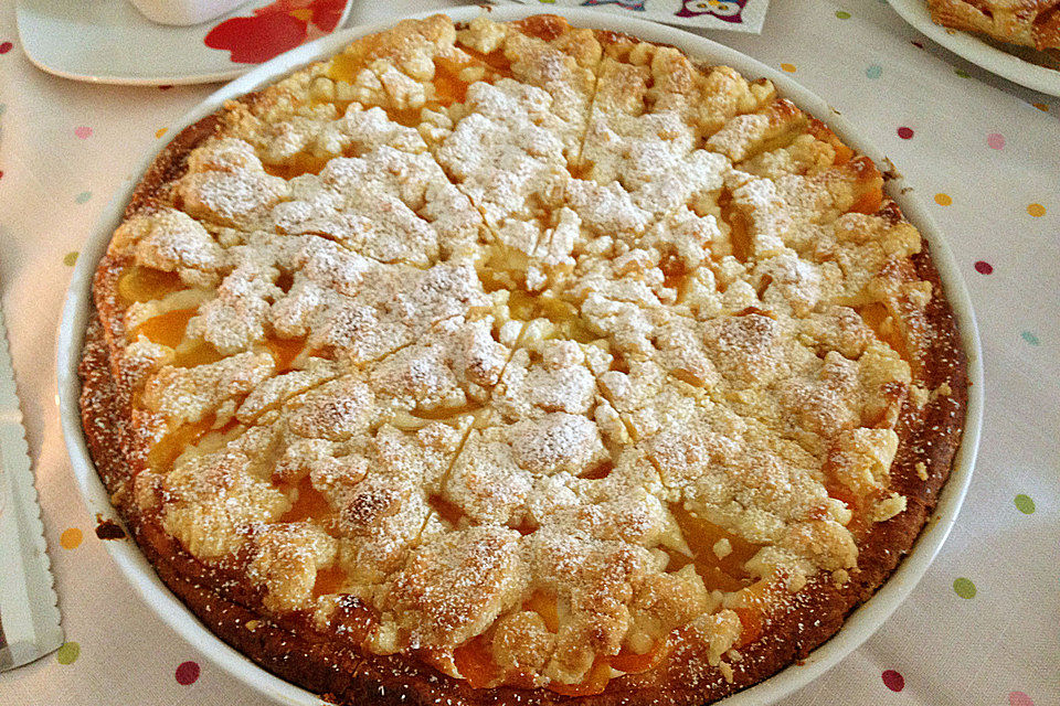 Tarte aux Abricots