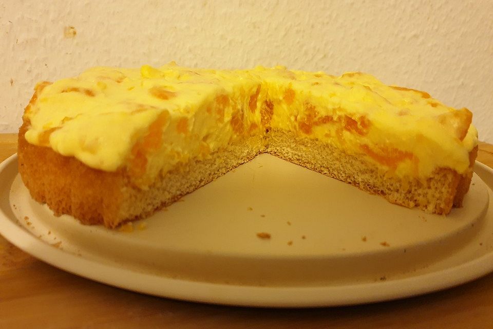 Schüttelkuchen