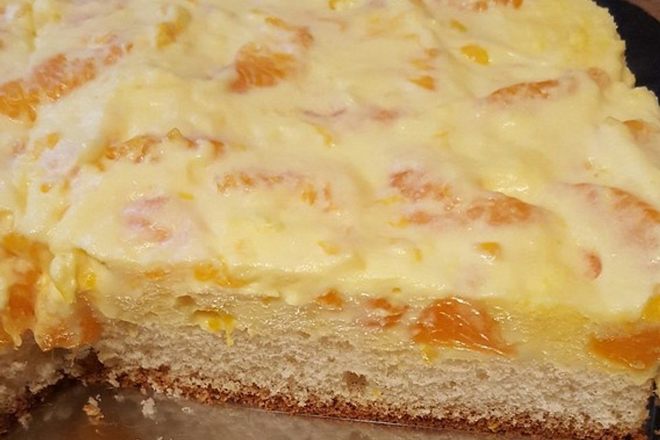 Schüttelkuchen