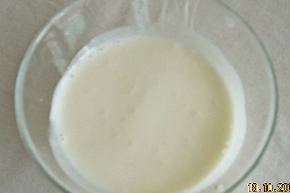 Griechischer Joghurt selbstgemacht