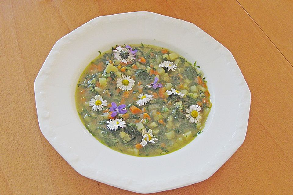 Brennnessel-Gänseblümchen-Suppe