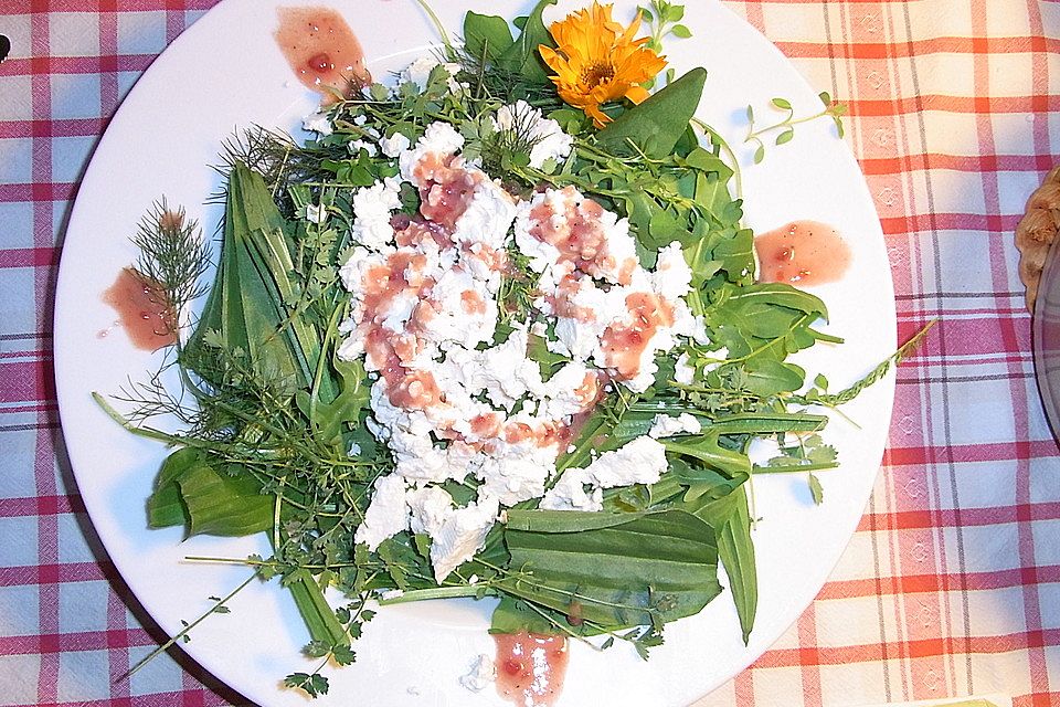 Wildkräutersalat mit Beerenvinaigrette