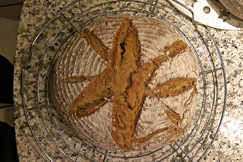 Koelkasts Hausbrot