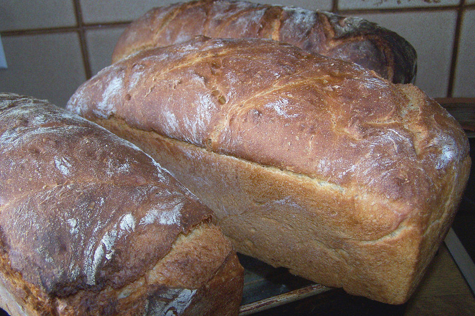 Koelkasts Hausbrot